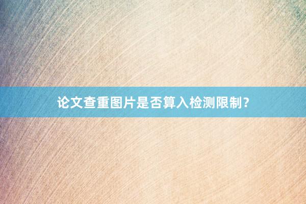论文查重图片是否算入检测限制？